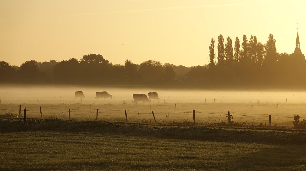 智能家居系统介绍
