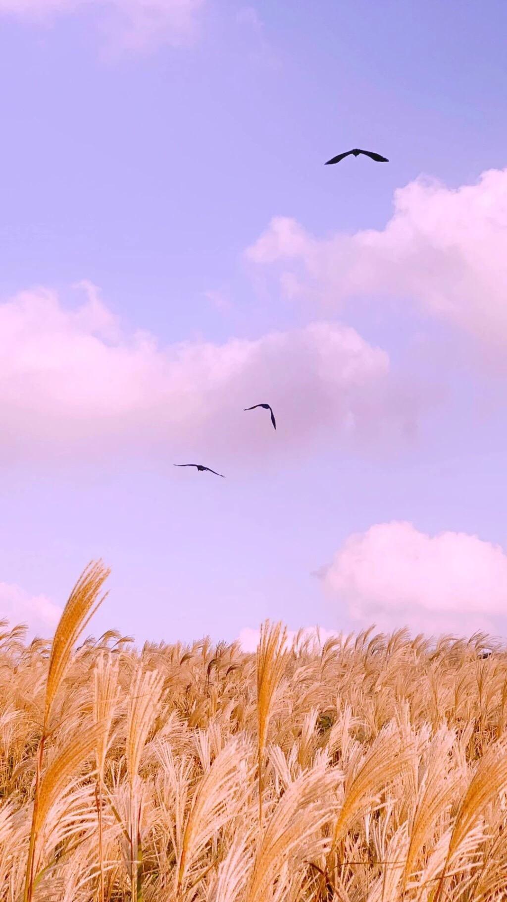 有没有好的微信朋友圈相册封面推荐一下?