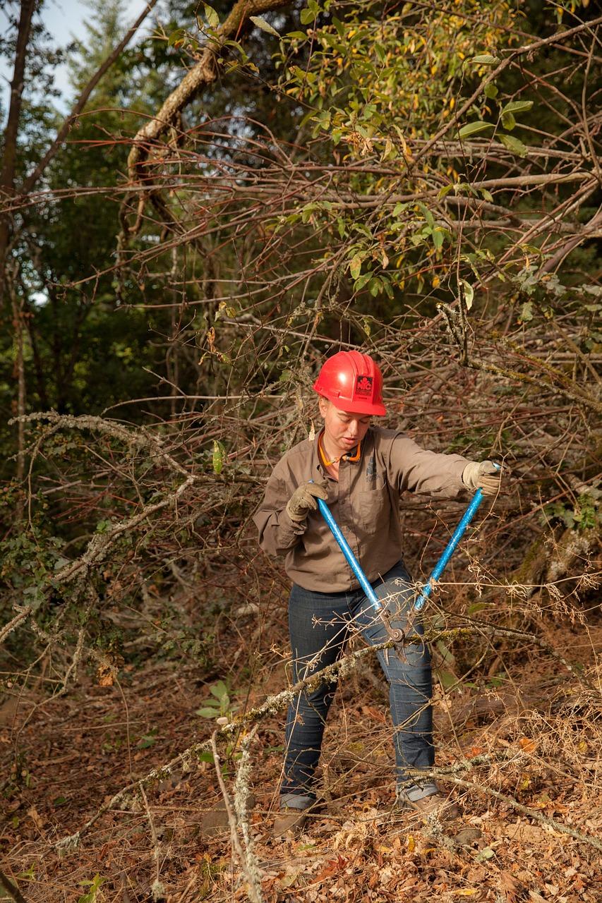环卫英雄，城市守护者