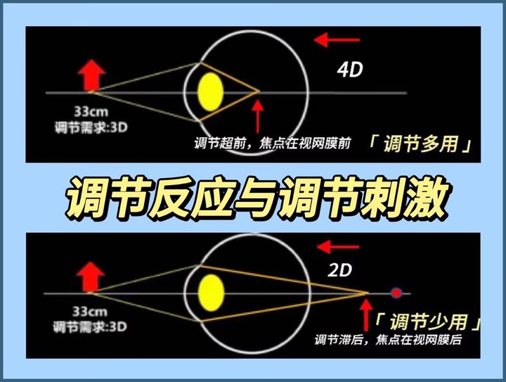 调节反应与调节刺激 知乎