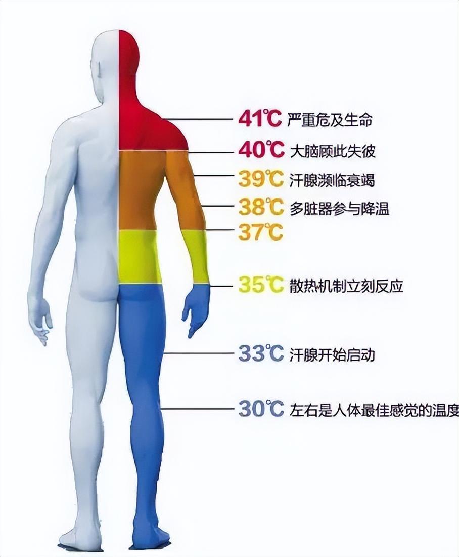 多地现热射病患者已有人死亡什么是热射病