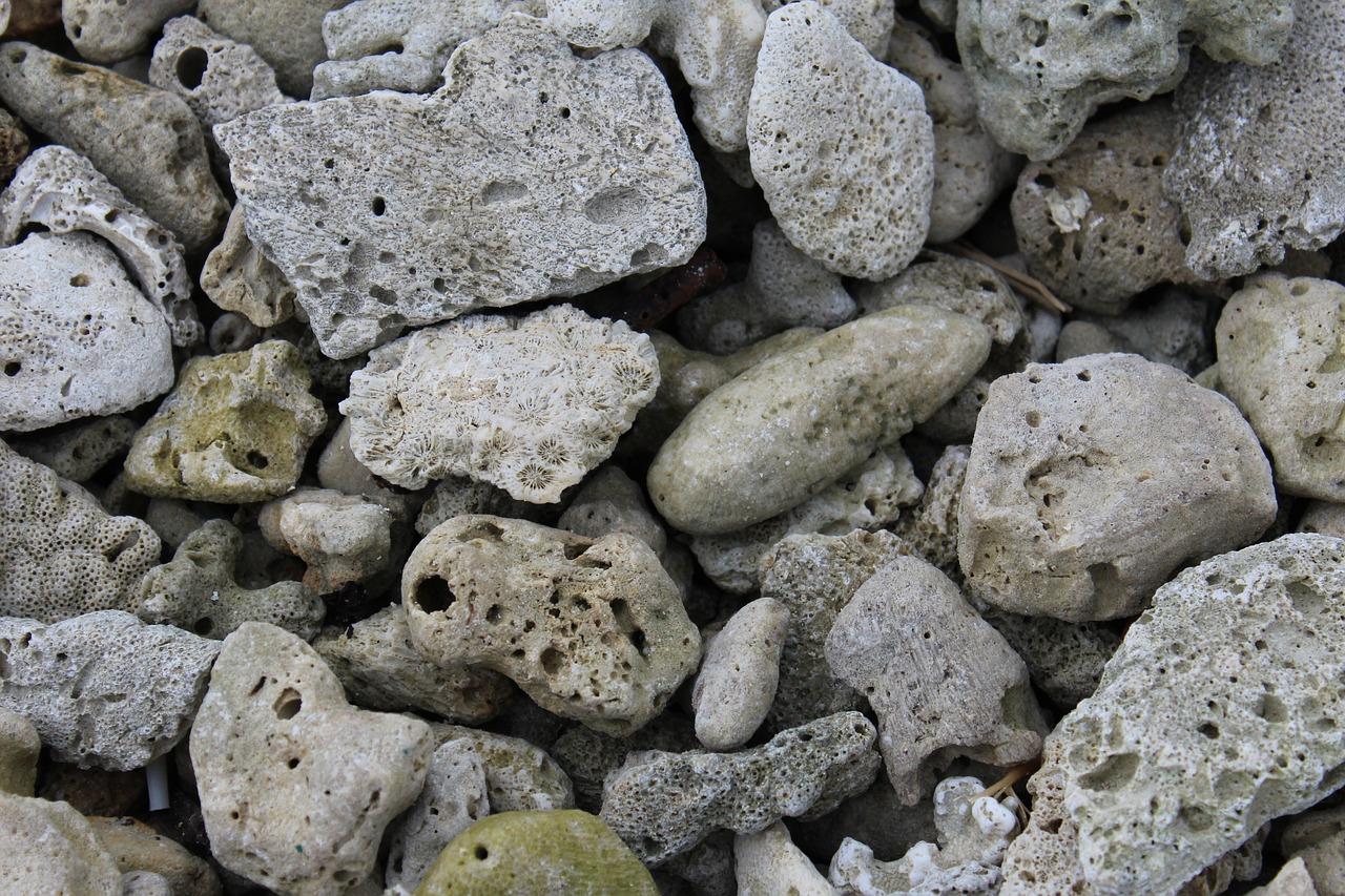 南宁半岛东岸读什么初中