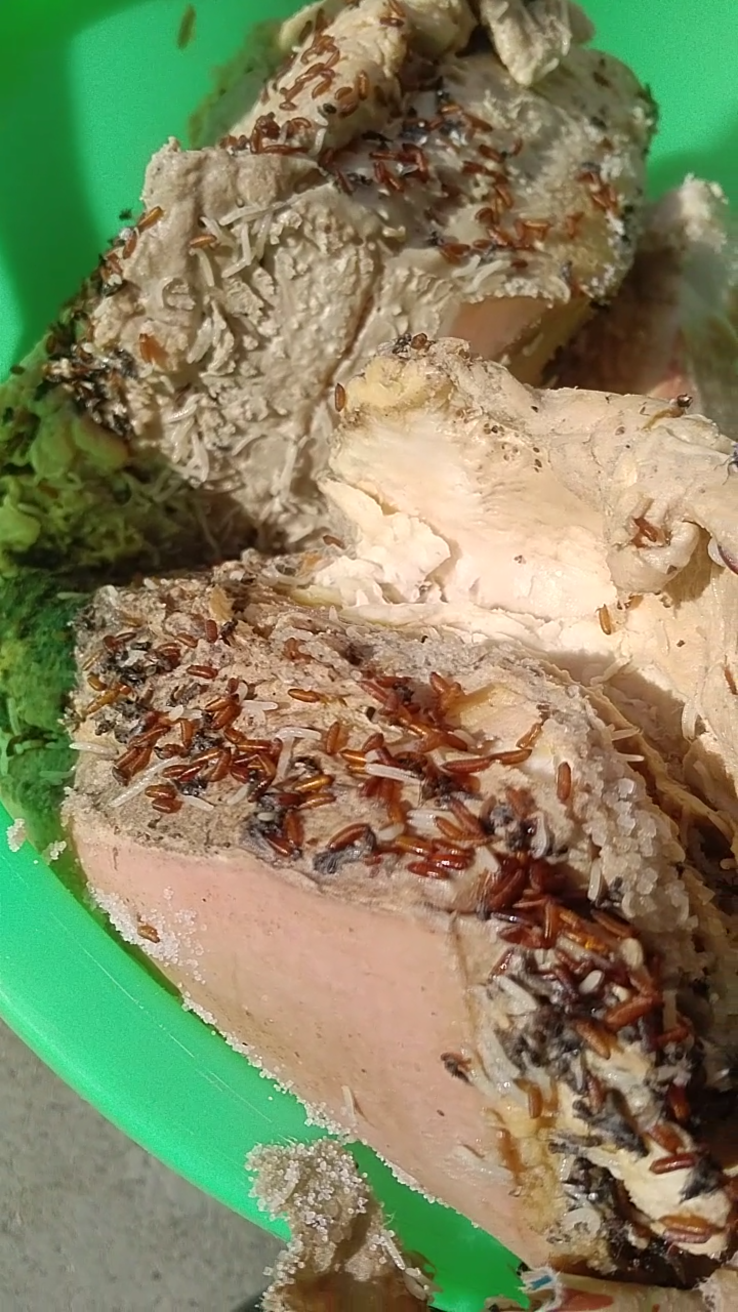 你吃过的最恶心的食物是什么?