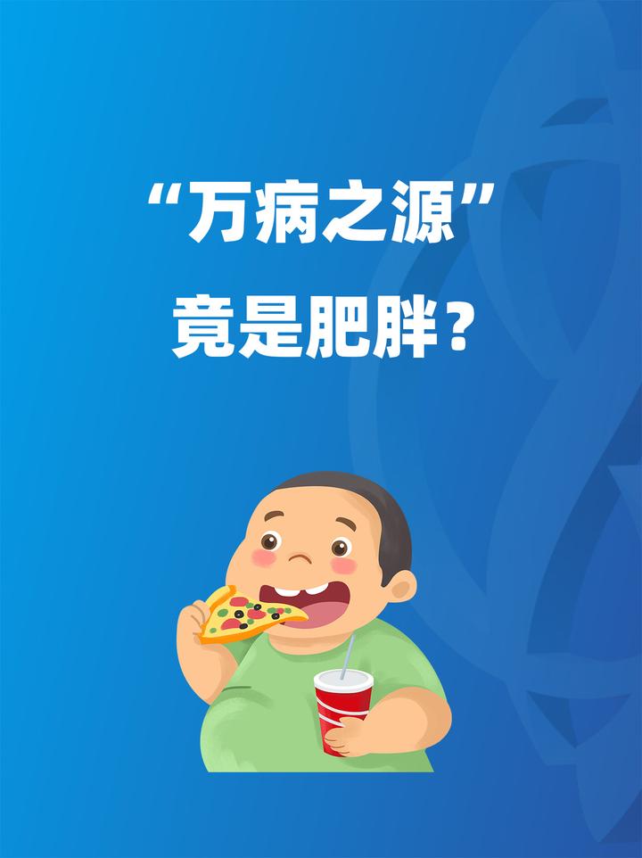 人为什么会长胖呢为什么在线