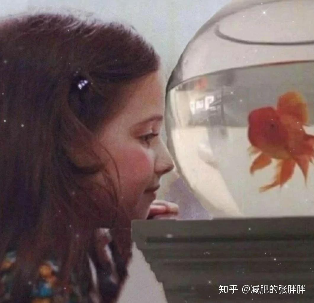 想要小女孩和小男孩看着鱼缸的情侣头像? - 知乎