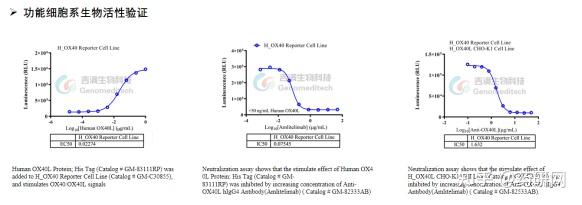 OX40/OX40L：癌症及自免疫明星靶点 - 知乎