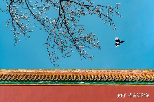 暮春来,初夏到!20首暮春诗词,告别最美春日 - 知乎