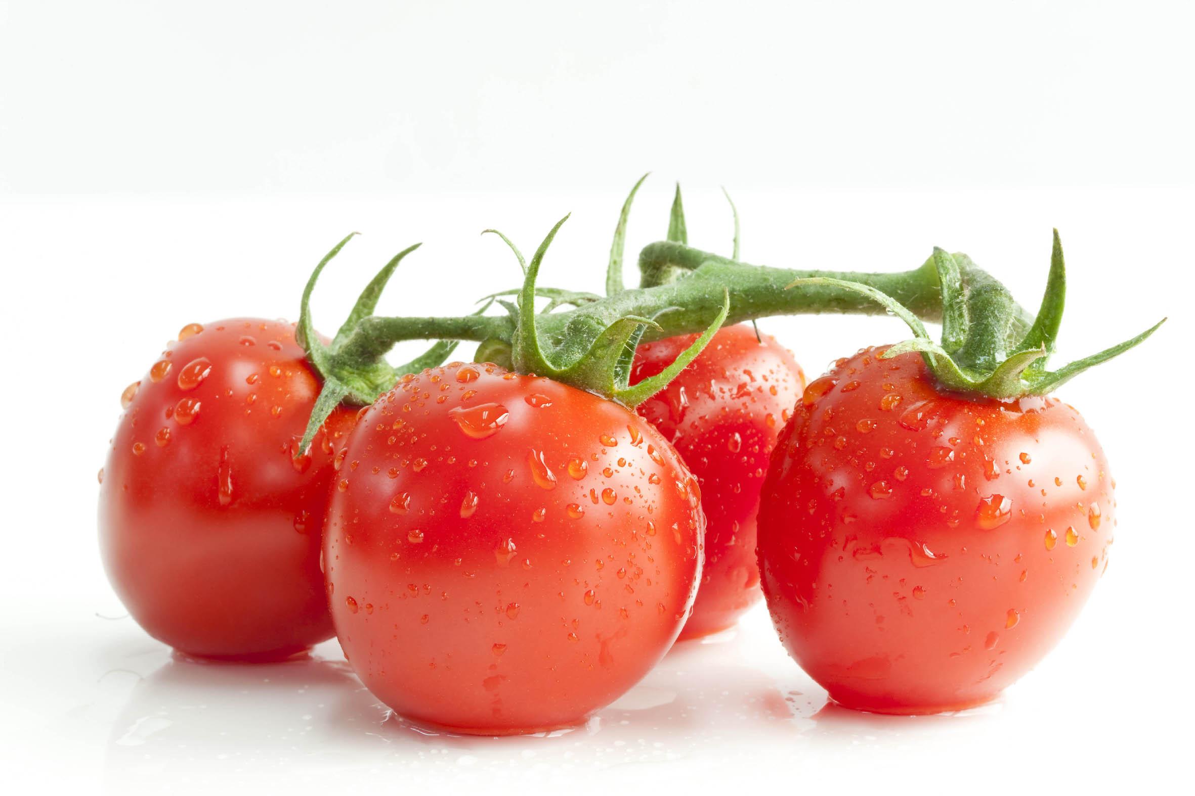 蔬菜|番茄西红柿|摄影|产品摄影|丫姐 - 原创作品 - 站酷 (ZCOOL)