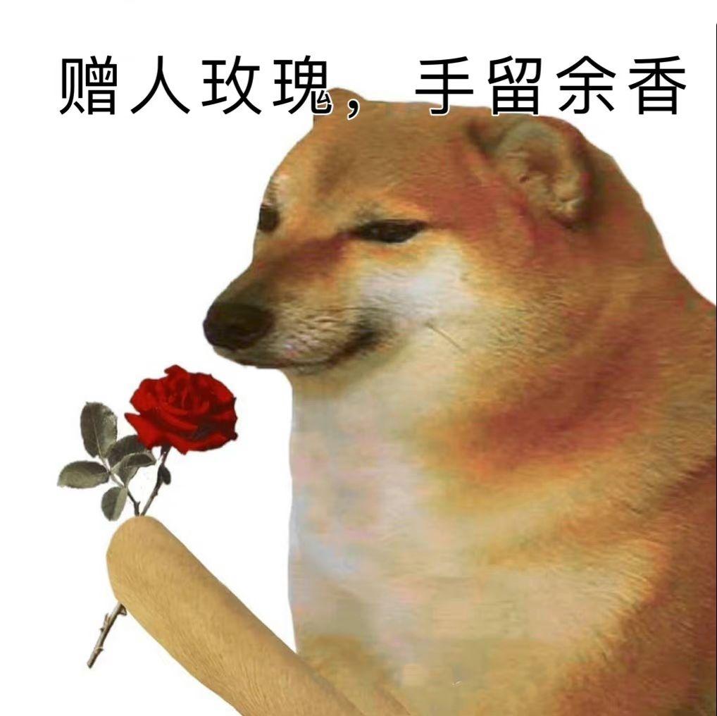 柴犬叼玫瑰表情包图片