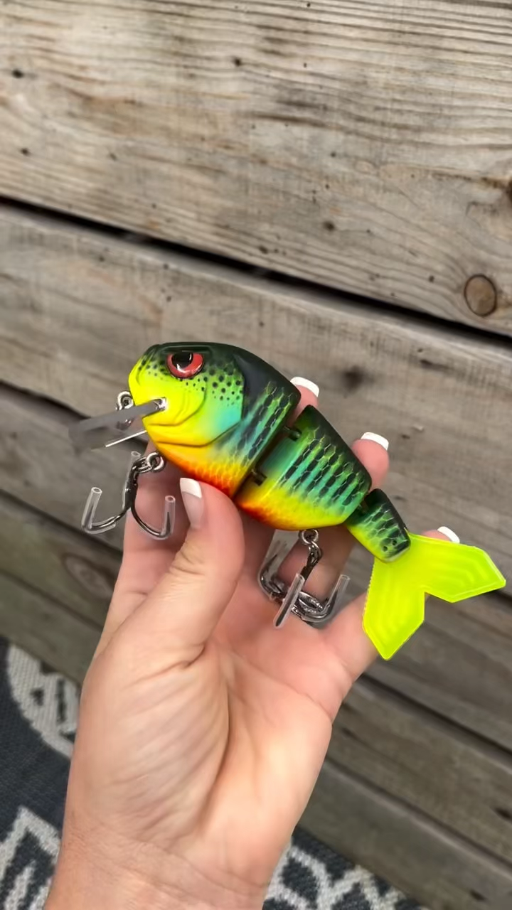 这种是钓什么鱼啊,有没有知道的啊#路亚