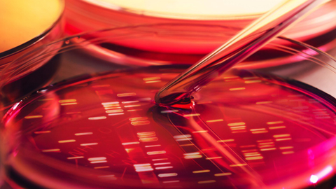 技术 | 一文读懂cfDNA - 知乎