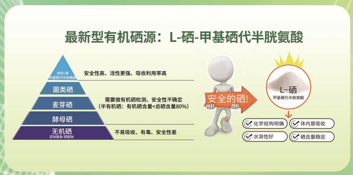 L-硒-甲基硒代半胱氨酸是什么?好在哪儿?L-硒-甲基硒代半胱氨酸哪个品牌好 - 知乎