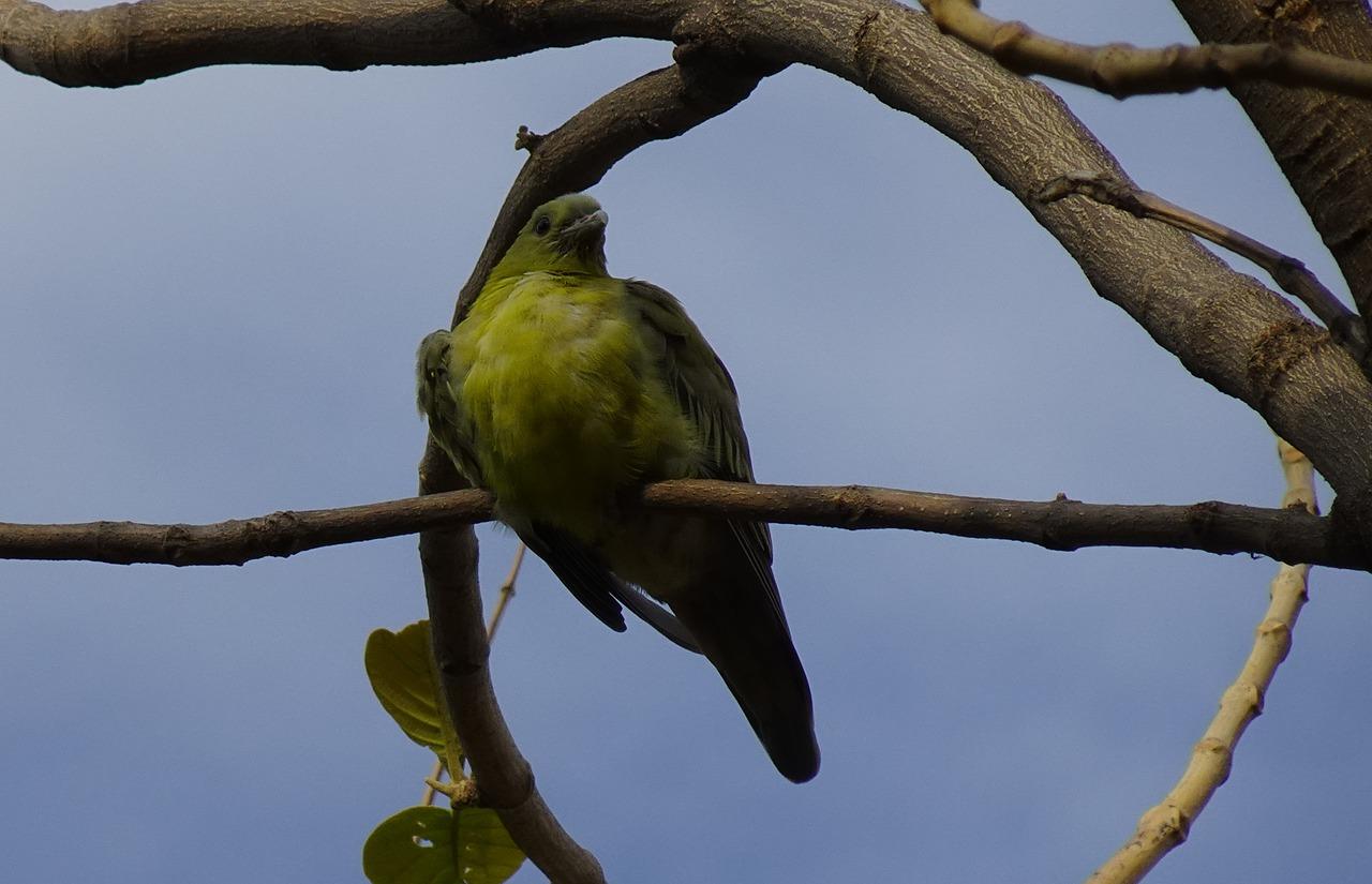 3. 绿化配套完善