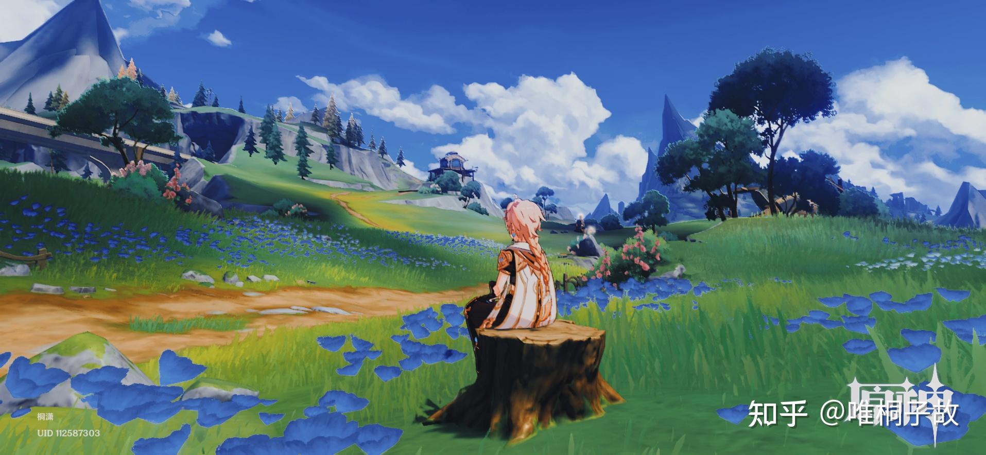 有没有原神好看的风景照