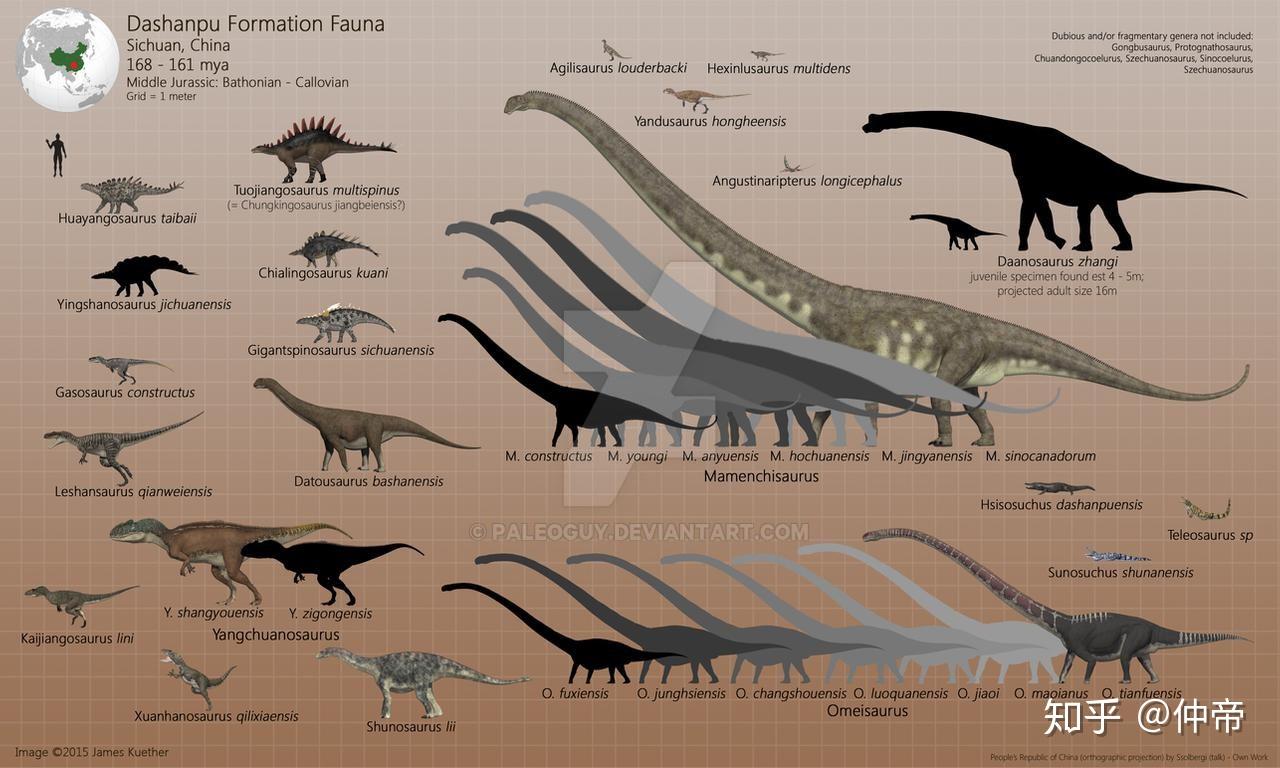 恐龙体型对比从小到大图片
