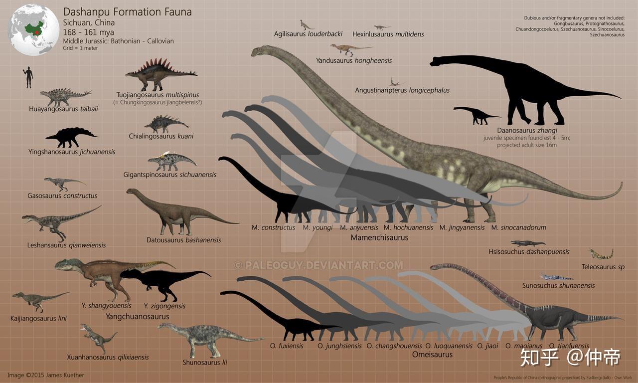 求恐龙大小比例图? 