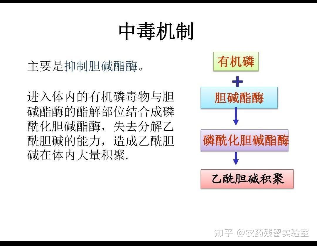 有机磷中毒宣传手册图片