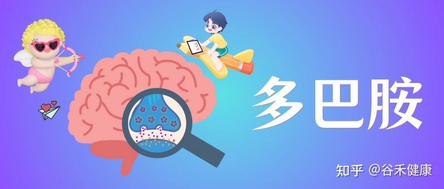 多巴胺：从肠道到大脑，掌控你奖赏、成瘾与健康的“超级信使” - 知乎