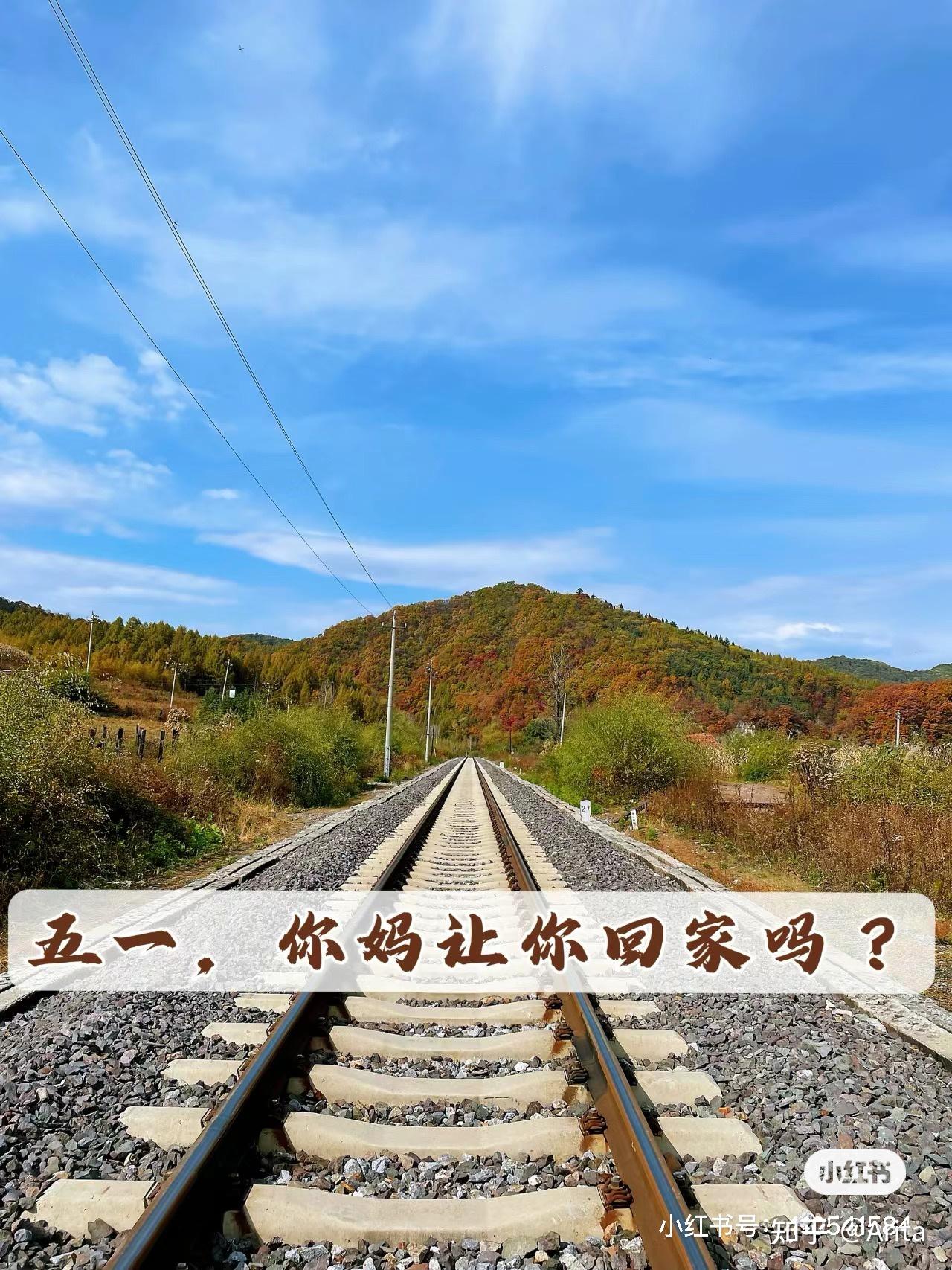 五一,你妈让你回家吗?