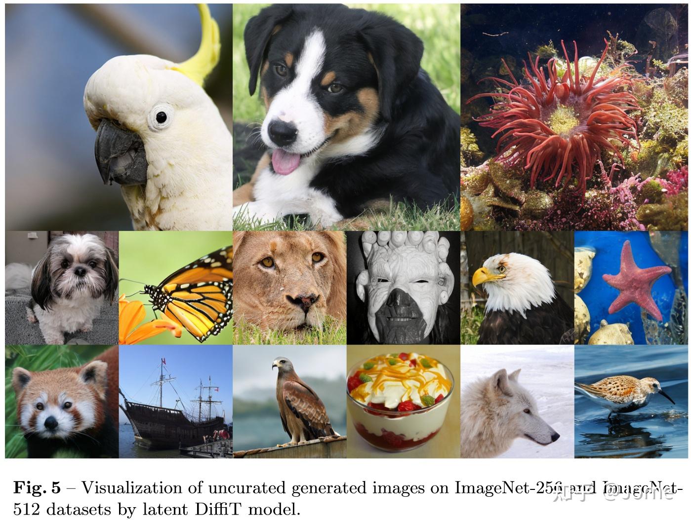 DiffiT:用于图像生成的基于ViTs的Diffusion模型——超越DiT,NVIDIA团队又一力作 - 知乎