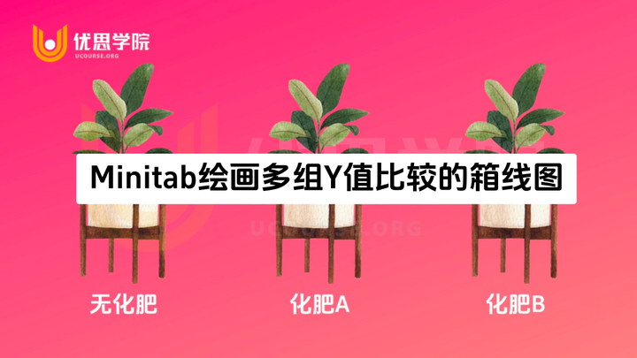 优思学院｜Minitab绘画多组Y值比较的箱线图