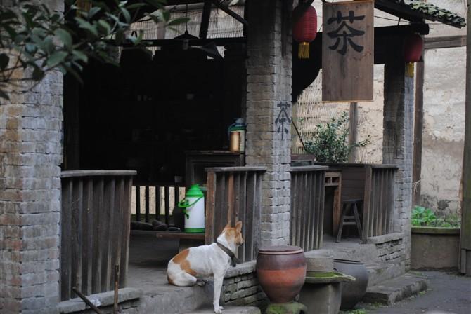 重庆有什么必去的景点?-重庆有什么好玩的景点推荐