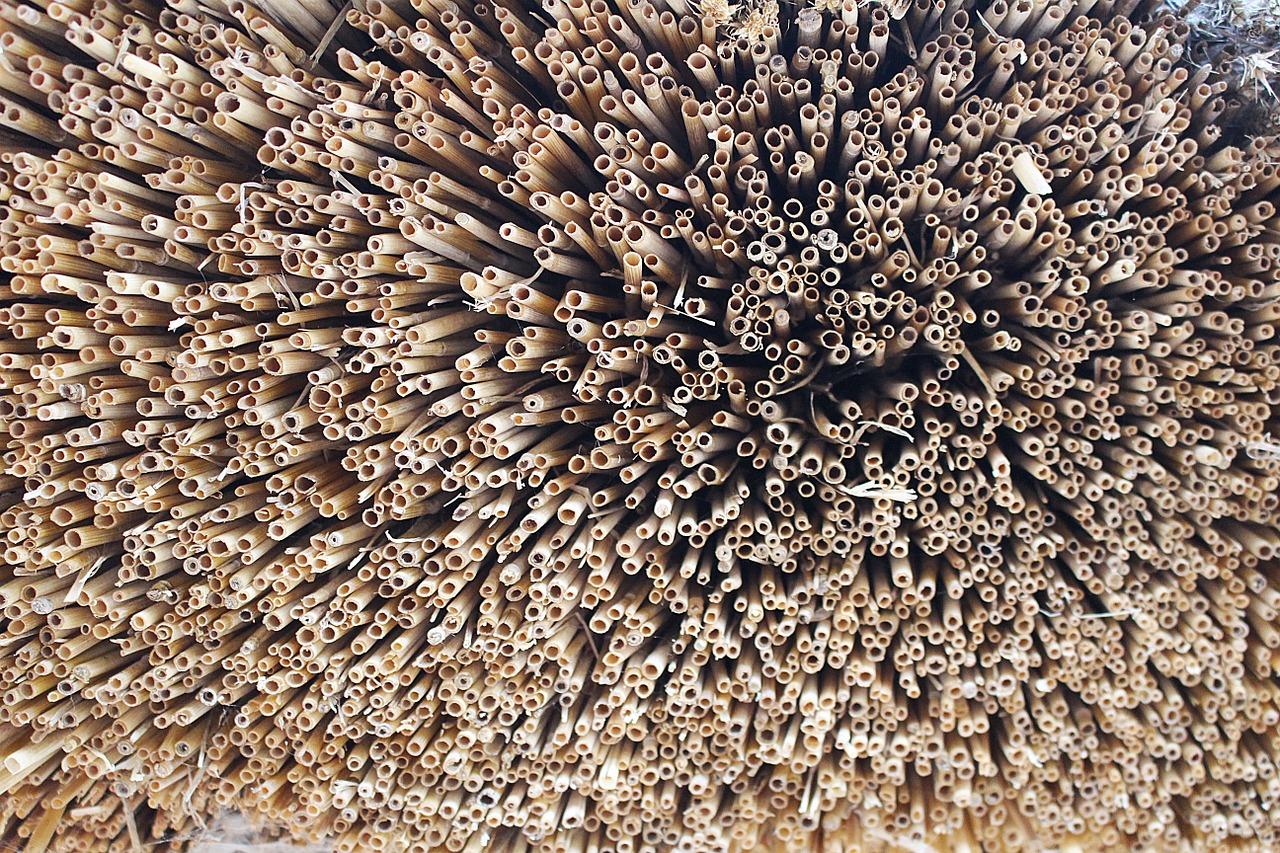 秸秆房成本分析