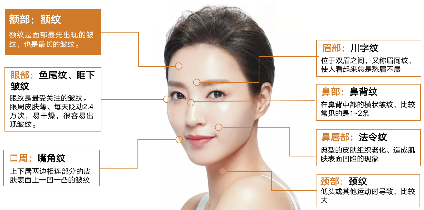 医美面部不同皱纹分级 - 知乎