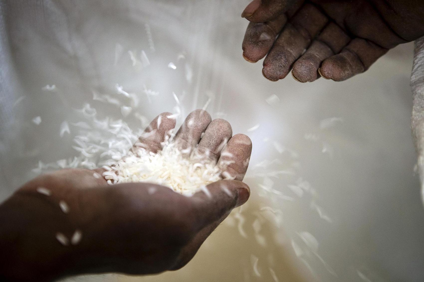 印度再出新规限制大米出口,设定香米出口最低价为每吨 1200 美元,将