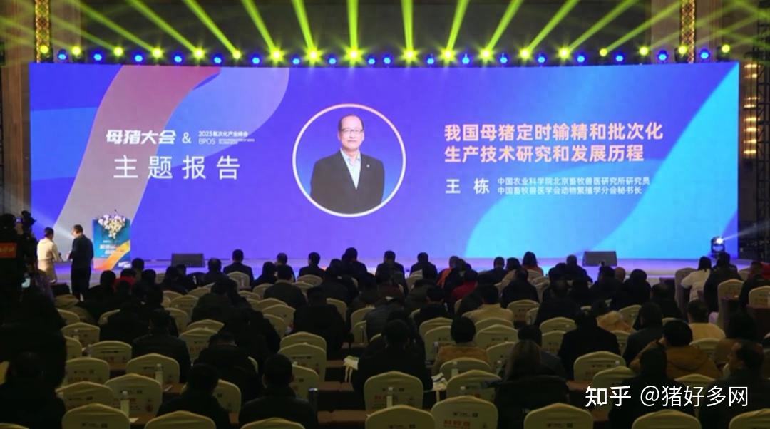 王栋:母猪批次化生产技术是支撑我国猪场规模扩大的强有力保障 - 知乎