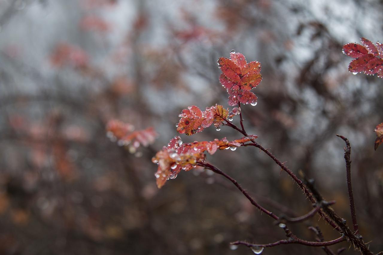 空调露水什么原因