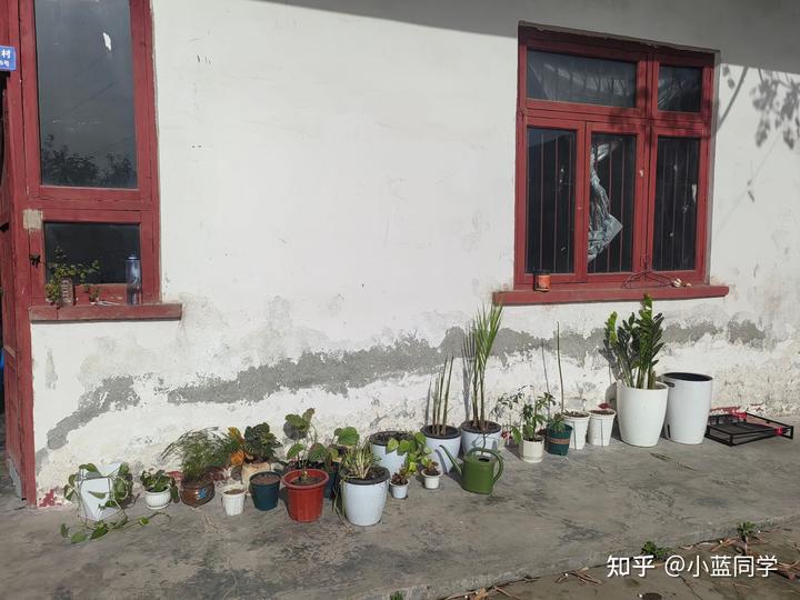人，可以废物到什么程度？