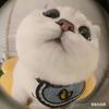 Yonhu