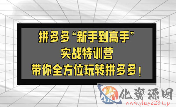 《拼多多新手到高手实战特训营》带你全方位玩转拼多多_wwz