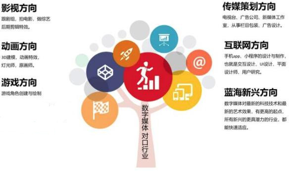 科技引领未来:网络科技公司的崛起与发展