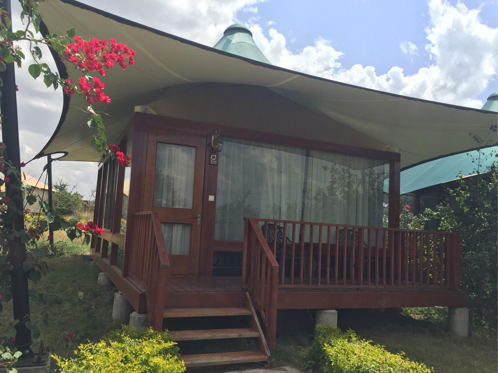 去肯尼亚旅行是一种什么体验?