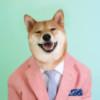 Zhihu profile picture for @switchblade