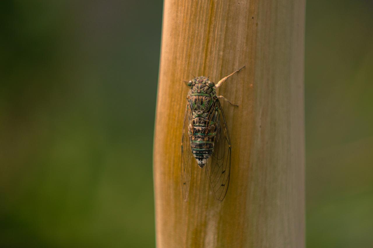 2. 火知了道路连接