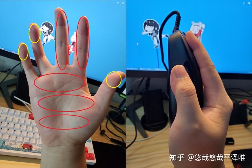 你真的了解自己的手吗?带你寻找最适合你的鼠标 - 知乎