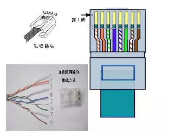 网线插座接法详细图解图片