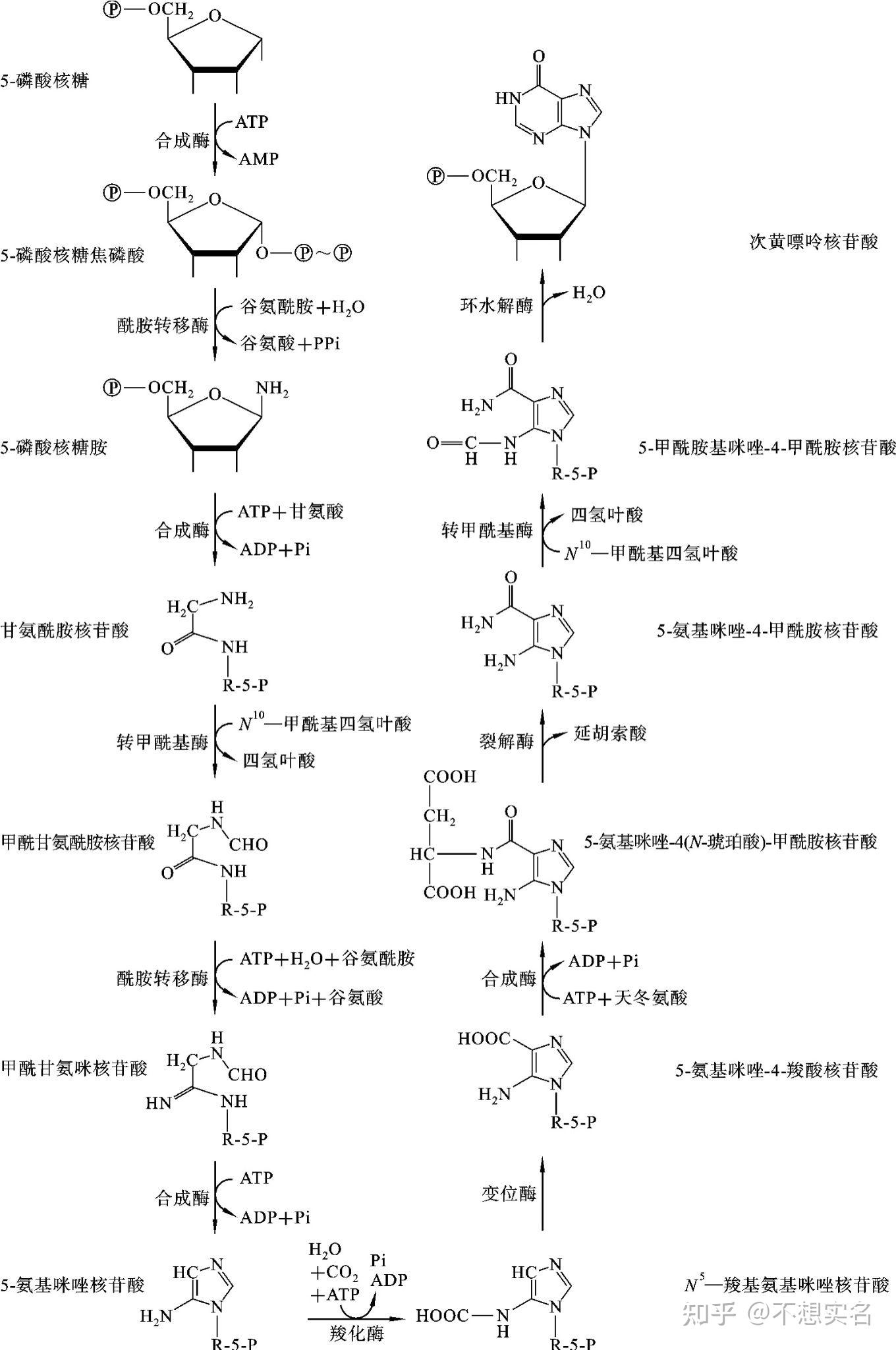 5-磷酸核糖图片