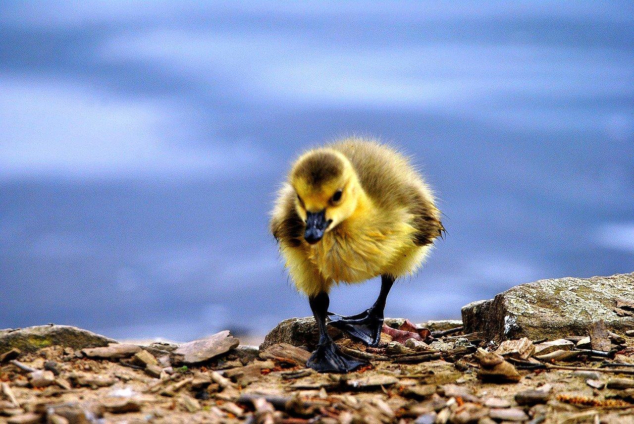 3. 智能恒温控制