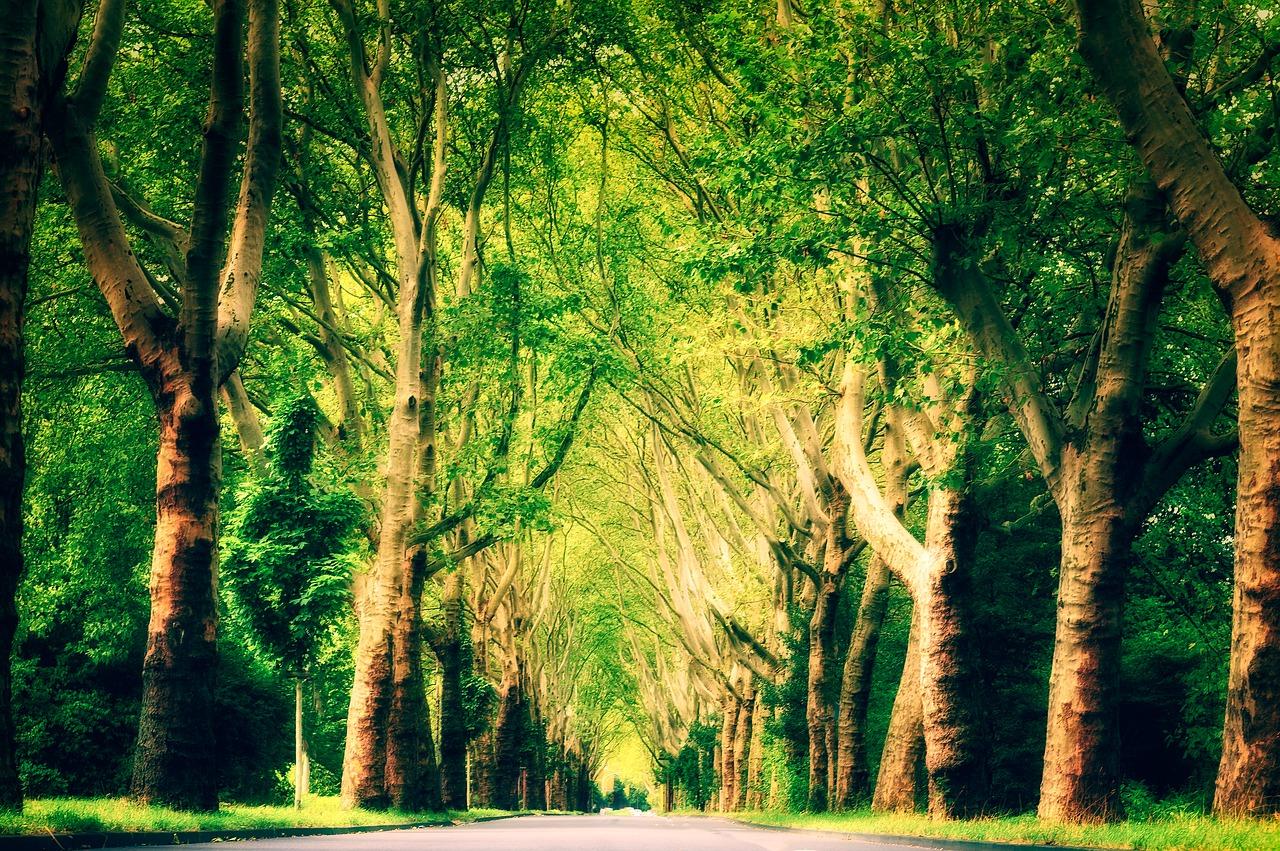 圆融广场地铁换乘