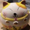BI猫