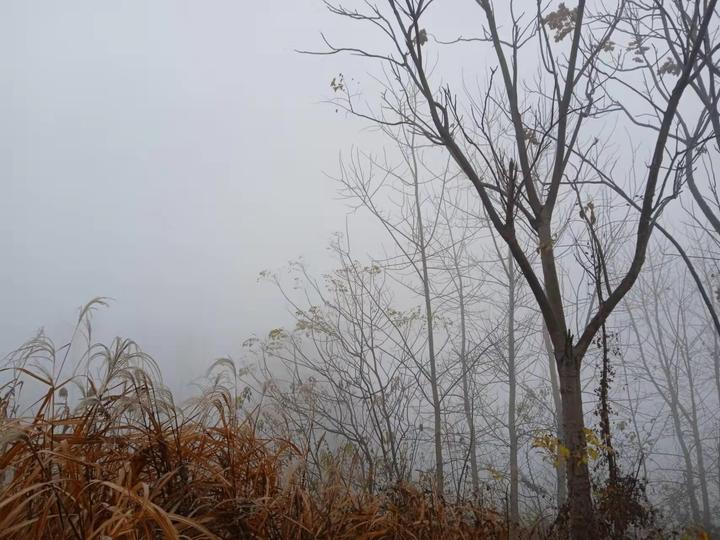 在不同的场景，雾给人的感觉不同 - 知乎