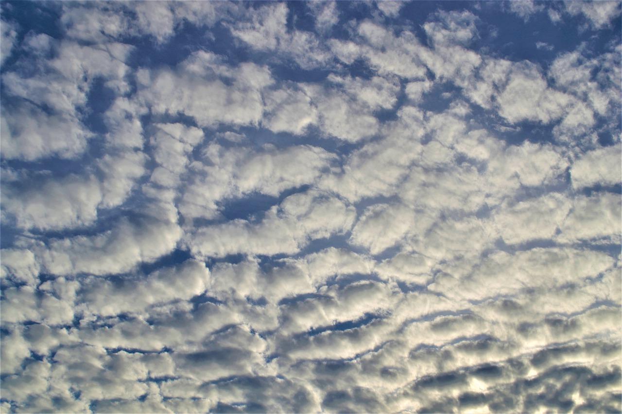 3. 乐铺网服务评价