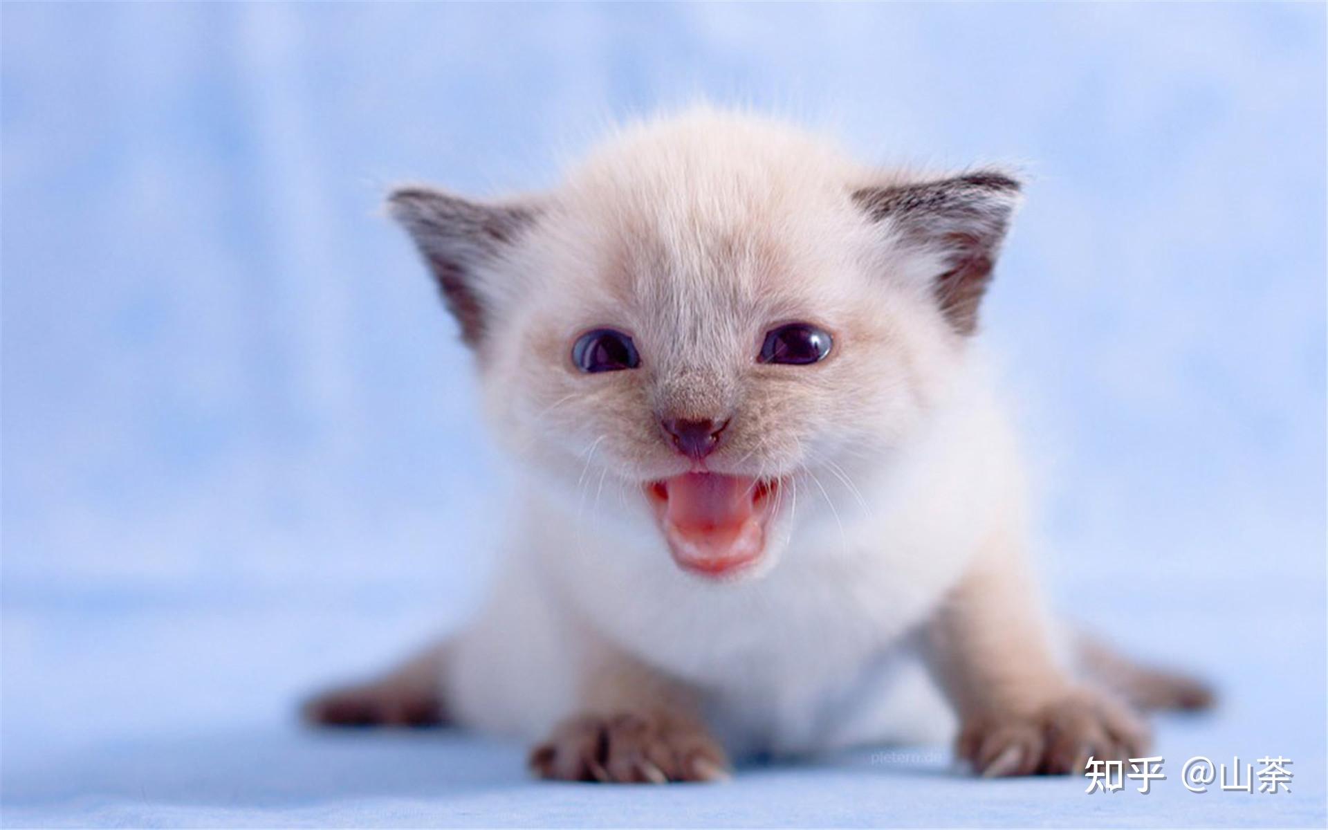 抖音怎么样才能上热门