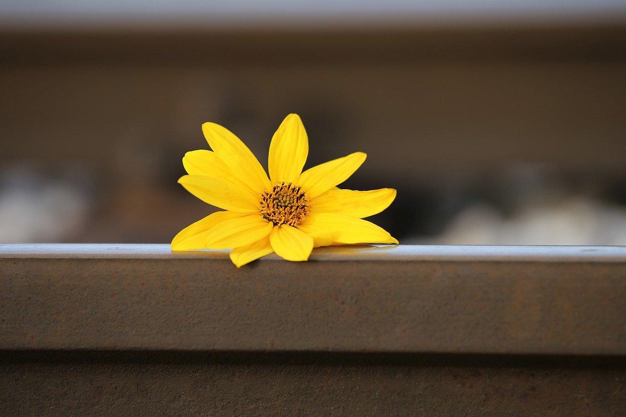 3. 促进区域发展