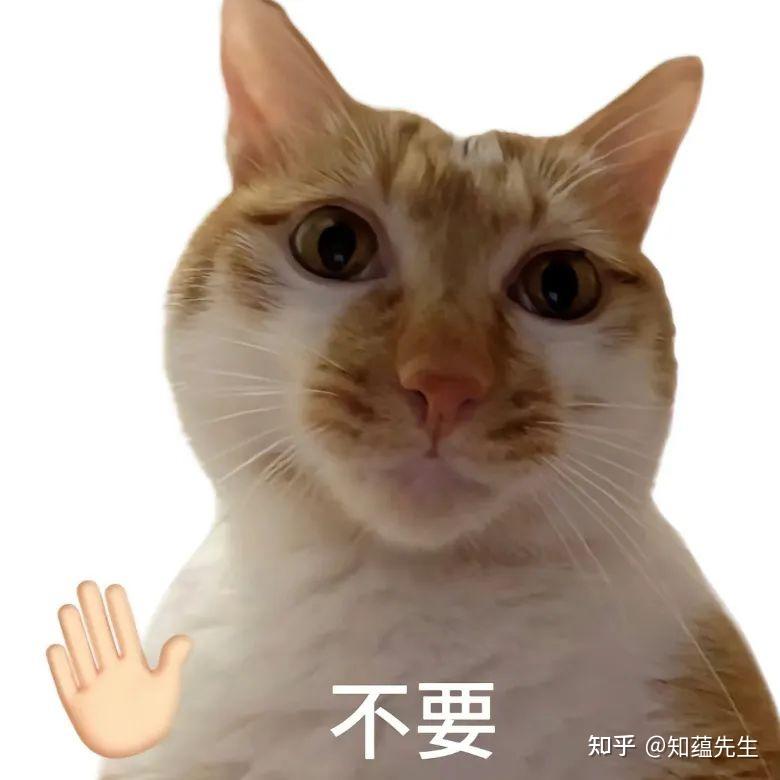 表情丨超实用发疯表情包丨3.12 - 知乎