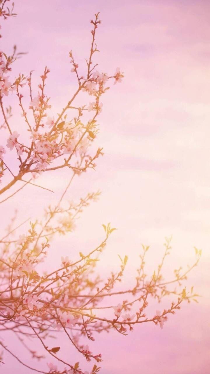 有什么壁纸适合作为微信运动的背景图? - 知乎